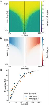 Cortical Synchrony as a Mechanism of Collinear Facilitation and Suppression in Early Visual Cortex